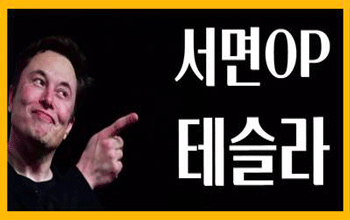 테슬라 서면 ✨