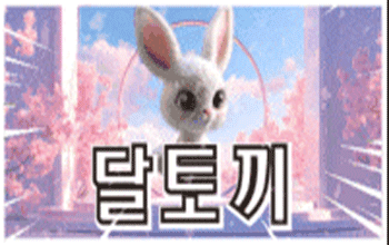달토끼 동래🐇