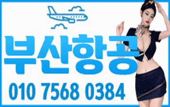 부산항공 ✈