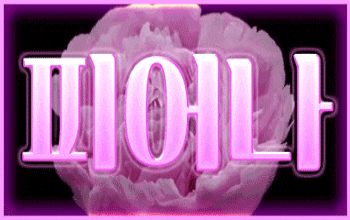 피어나K 서면🎗