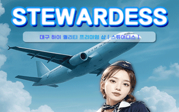 스튜어디스 💖