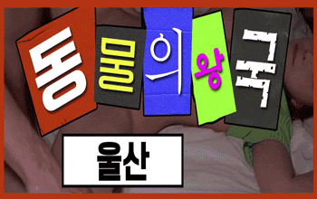 동물의왕국 💦